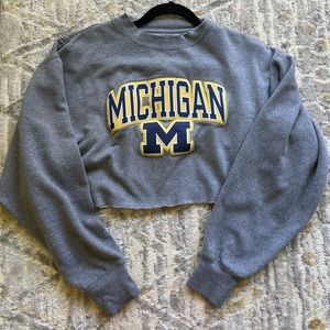 michigan cropped crew neck